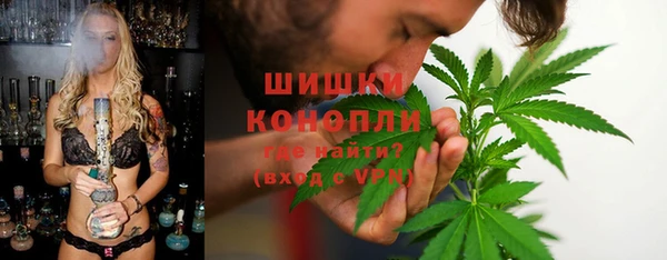молекула духа Богородицк