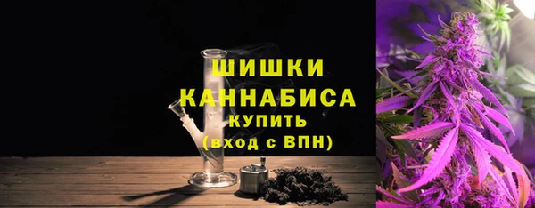 дмт Бородино