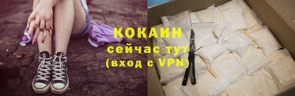 молекула духа Богородицк