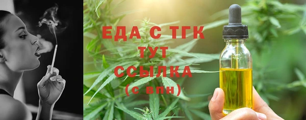 дмт Бородино