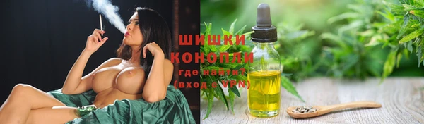 молекула духа Богородицк