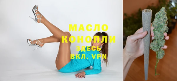 дмт Бородино