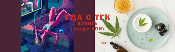 дмт Бородино