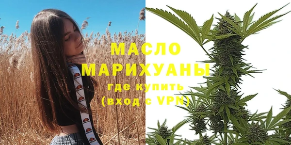 дмт Бородино