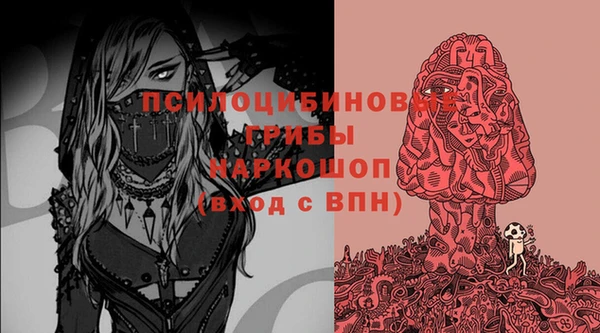 бошки Богданович