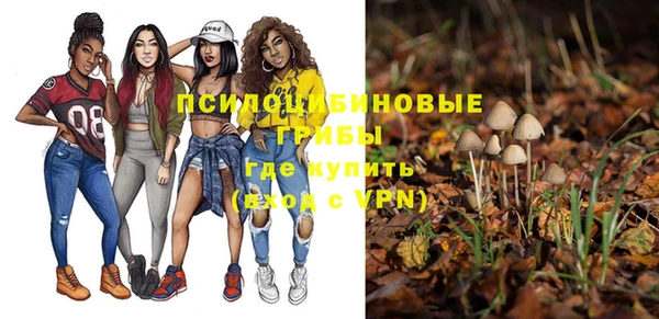 прущая мука Струнино