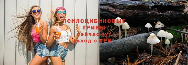 стаф Бронницы