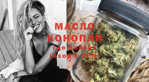 дмт Бородино