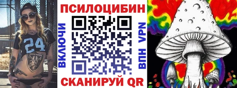 это как зайти  Великие Луки  Галлюциногенные грибы мицелий 